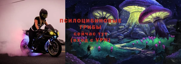 дживик Дмитров