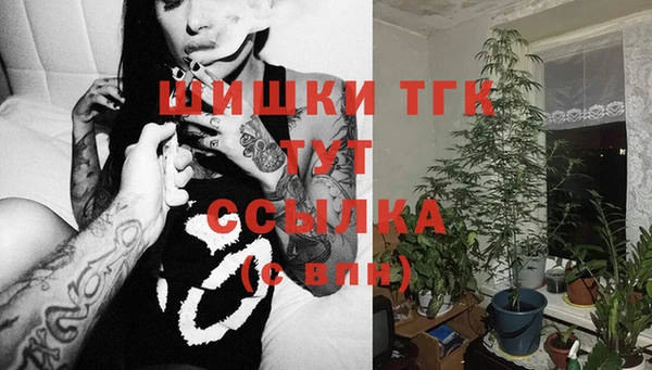 дживик Дмитров