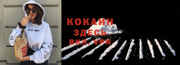 спиды Дмитриев