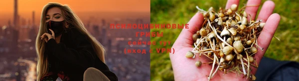 дживик Дмитров