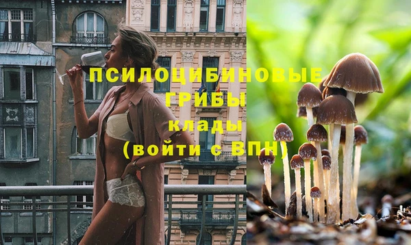 дживик Дмитров