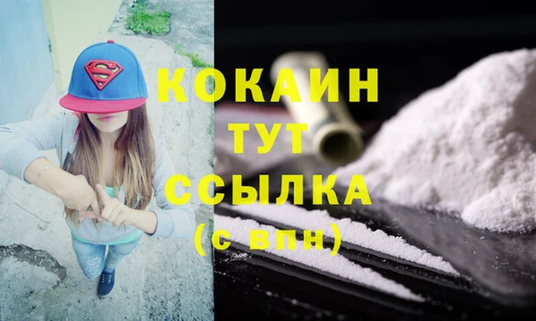 спиды Дмитриев