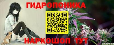 хмурый Свободный