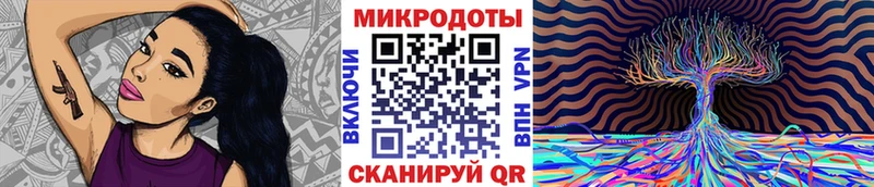 Галлюциногенные грибы Magic Shrooms  Ярославль 