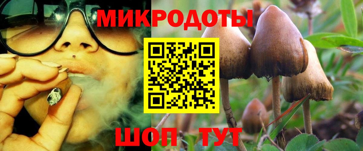 Псилоцибиновые грибы Magic Shrooms Ярославль